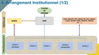 4. Arrangement Institutionnel (1/2)
Pôle/Département
National
Comité
de
pilotage
UGP
ATDA 3 ATDA 1
ATDA 4
(Anacarde)
ATDA ...