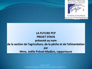 La future PCP
Conseil économique, social et environnemental 24 janvier 2012   1
 