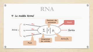 4. Le modèle formel
f
𝑥1
𝑥𝑖
𝑥 𝑛
Entrée
𝑤1𝑖
𝑤𝑖𝑖
𝑤 𝑛𝑖
𝑦𝑖 Sortie
Poids
Intégration
des entrées
Fonction des
activation
Sortie 𝑦𝑖
Noyau
RNA
 