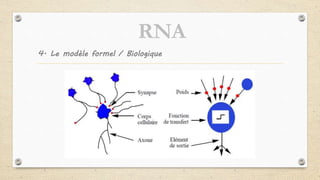 4. Le modèle formel / Biologique
RNA
 
