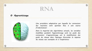 6. Apprentissage
Une procédure adaptative par laquelle les connexions
des neurones sont ajustées face à une source
d’information.
Dans la majorité des algorithmes actuels, les variables
modifiées pendant l'apprentissage sont les poids des
connexions. L'apprentissage est la modification des
poids du réseau dans l'optique d'accorder la réponse
du réseau aux exemples et à l'expérience.
RNA
 