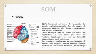 1. Principe
SOMs fournissent un moyen de représenter des
données multidimensionnelles dans des espaces de
dimensions beaucoup plus faibles - généralement
une ou deux dimensions.
Cette technique crée un réseau qui stocke des
informations de telle façon que toutes les
relations topologiques au sein de l'ensemble
d'apprentissage sont maintenues.
Ces structures intelligentes de représentation de
données sont inspirées, comme beaucoup d’autres
créations de l’intelligence artificielle, par la biologie
;
SOM
 
