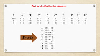 Test de classification des alphabets
0 1 0
1 1 1
1 0 1
0 1 0
0 1 1
1 0 1
1 1 1
0 1 0
0 1 0
1 1 1
0 0 0
0 1 0
1 1 1
1 0 0
1 1 1
A A’ T T’ C
1 1 1
1 0 0
1 1 0
C’
1 1 1
1 1 1
1 0 0
F F’
1 1 1
1 1 0
1 0 0
1 0 1
1 1 1
1 0 1
1 0 0
1 1 1
1 0 1
H H’
A 010111101
A’ 010011101
T 111010010
T’ 111000010
C 111100111
C’ 111100110
F 111111100
F’ 111110100
H 101111101
H’ 100111101
Entrée
 