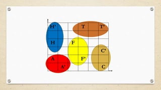 H’ T T’
H F
C’
A F’
A’ C
 