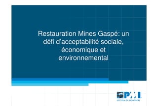 Restauration Mines Gaspé: un
 défi d’acceptabilité sociale,
        économique et
       environnemental
 