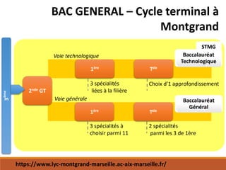 STMG
BAC GENERAL – Cycle terminal à
Montgrand
https://www.lyc-montgrand-marseille.ac-aix-marseille.fr/
 