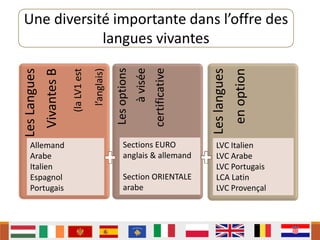 Une diversité importante dans l’offre des
langues vivantes
Les
Langues
Vivantes
B
(la
LV1
est
l’anglais)
Les
options
à
visée
certificative
Les
langues
en
option
Allemand
Arabe
Italien
Espagnol
Portugais
Sections EURO
anglais & allemand
Section ORIENTALE
arabe
LVC Italien
LVC Arabe
LVC Portugais
LCA Latin
LVC Provençal
 