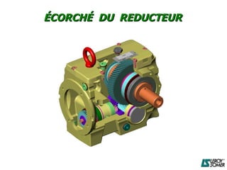 ÉCORCHÉ DU REDUCTEUR