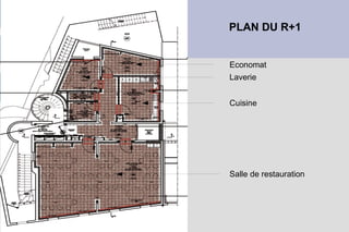 PLAN DU R+1


Economat
Laverie


Cuisine




Salle de restauration
 