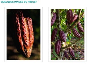 QUELQUES IMAGES DU PROJET
 