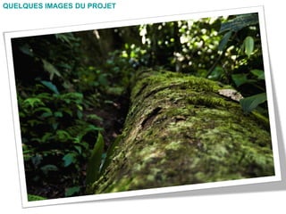 QUELQUES IMAGES DU PROJET
 