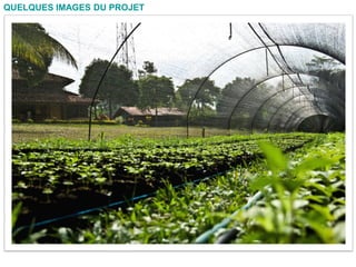 QUELQUES IMAGES DU PROJET
 