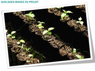 QUELQUES IMAGES DU PROJET
 