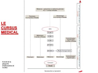 LE
CURSUS
MEDICAL
Extrait de la
plaquette
d’information de
l’UPEC
 