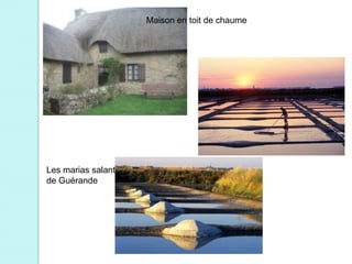 Maison en toit de chaume




Les marias salants
de Guérande
 