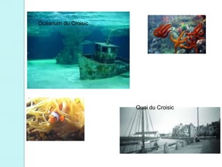 Océarium du Croisic




                      Quai du Croisic
 