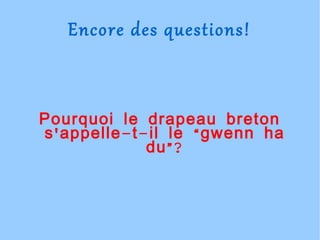 Pourquoi le drapeau breton s'appelle-t-il le “gwenn ha du”? Encore des questions! 