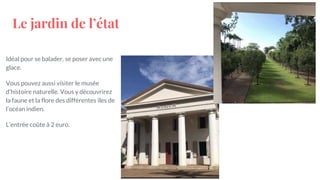 Le jardin de l’état
Idéal pour se balader, se poser avec une
glace.
Vous pouvez aussi visiter le musée
d’histoire naturelle. Vous y découvrirez
la faune et la flore des différentes îles de
l’océan indien.
L’entrée coûte à 2 euro.
 