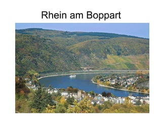Rhein am Boppart 