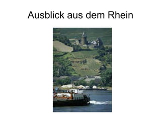 Ausblick aus dem Rhein 