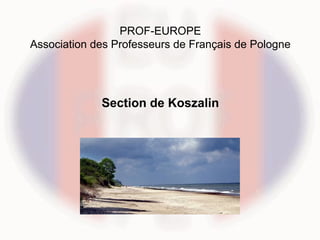 PROF-EUROPE
Association des Professeurs de Français de Pologne




             Section de Koszalin
 