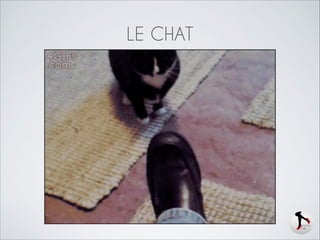 LE CHAT

 