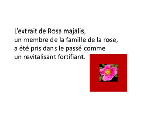 L’extrait de Rosa majalis,
un membre de la famille de la rose,
a été pris dans le passé comme
un revitalisant fortifiant.
 