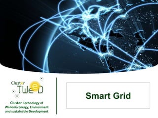 Smart Grid
   Cluster Technology of
Wallonia Energy, Environment
and sustainable Development
                               1
 
