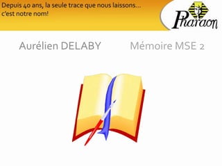 Aurélien DELABY   Mémoire MSE 2
 