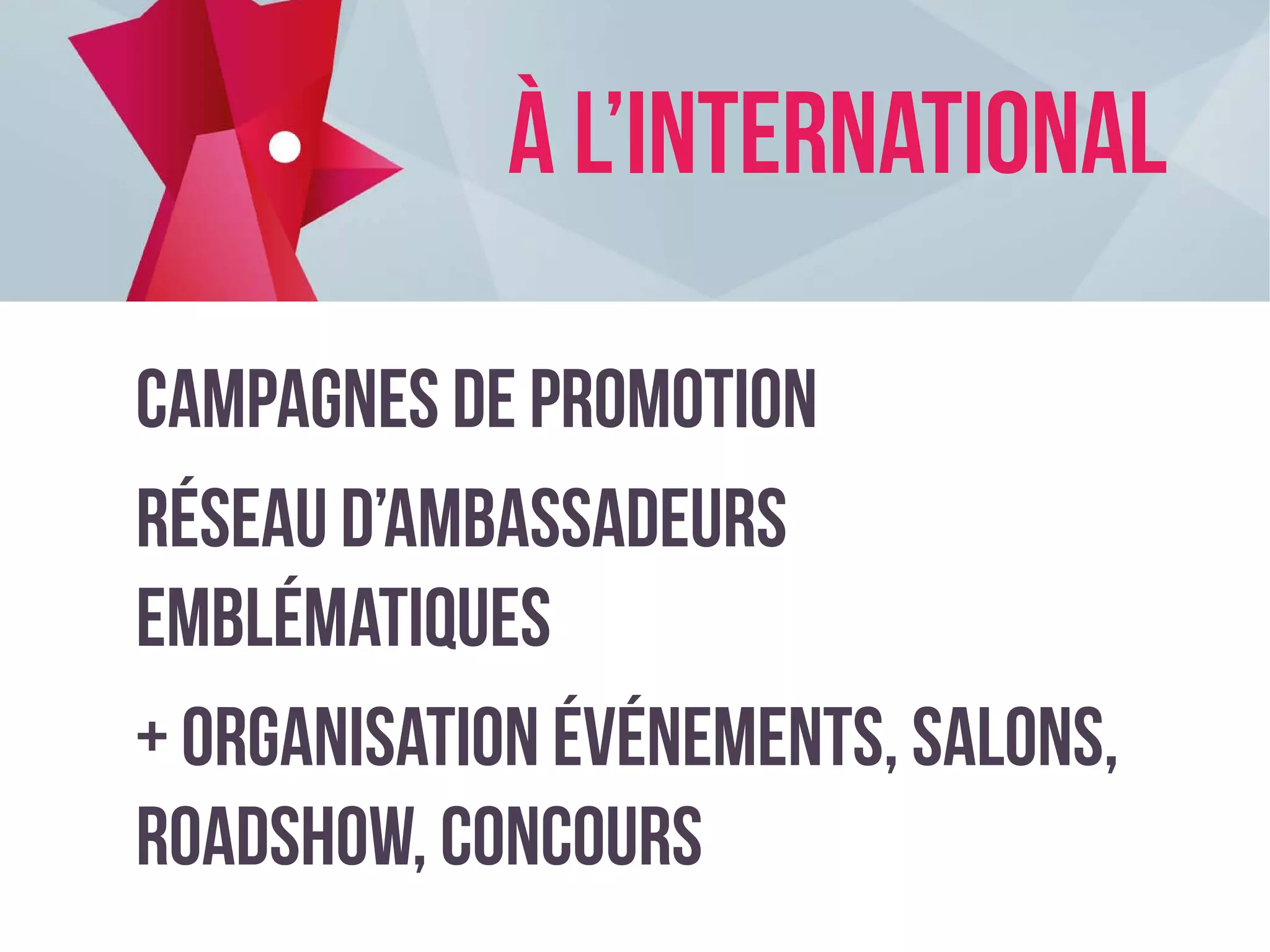 Campagnes de promotion
réseau d’ambassadeurs
emblématiques
+ organisation événements, salons,
roadshow, concours
À l’International