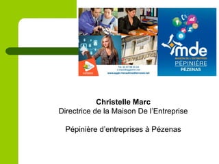Christelle Marc
Directrice de la Maison De l’Entreprise
Pépinière d’entreprises à Pézenas
 