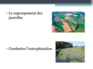 Le regroupement des  parcelles Combattre l’eutrophisation 