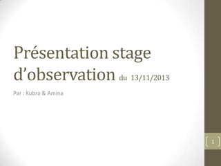Présentation stage
d’observation du 13/11/2013
Par : Kubra & Amina

1

 