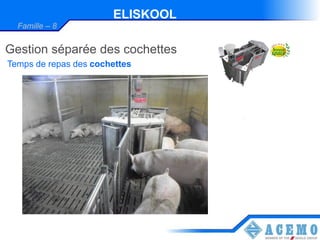 ELISKOOL
  Famille – 8


Gestion séparée des cochettes
Temps de repas des cochettes
 