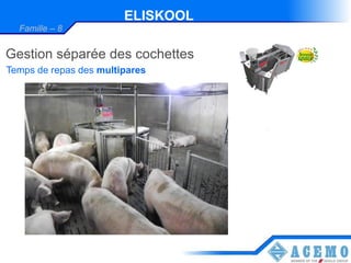 ELISKOOL
  Famille – 8


Gestion séparée des cochettes
Temps de repas des multipares
 