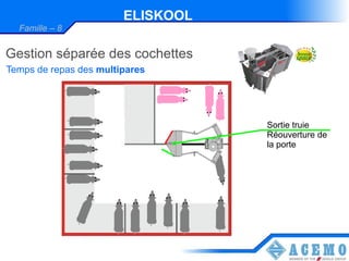ELISKOOL
  Famille – 8


Gestion séparée des cochettes
Temps de repas des multipares




                                   Sortie truie
                                   Réouverture de
                                   la porte
 