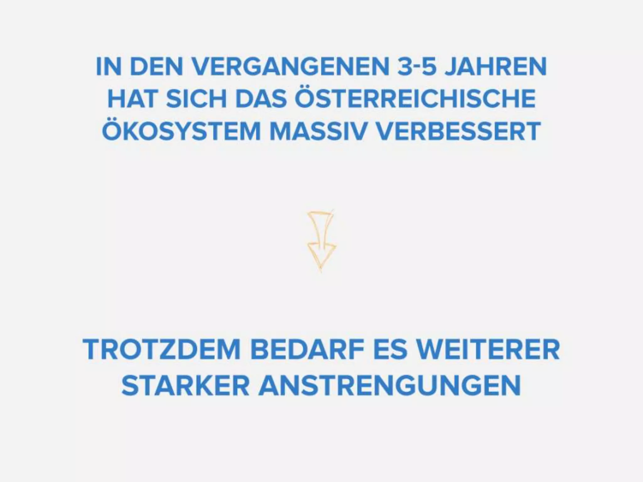 Austrian Startup Report 2012