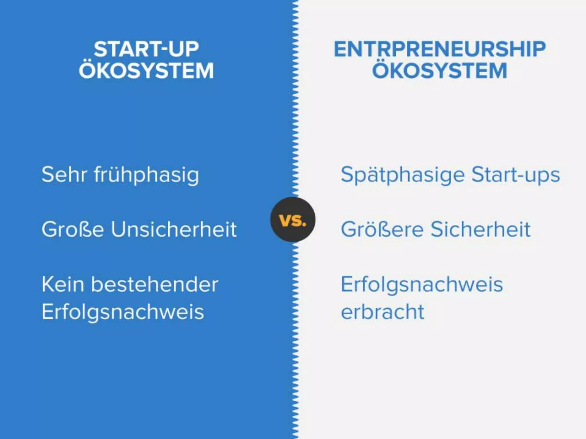 Austrian Startup Report 2012