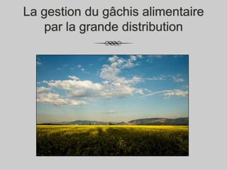 La gestion du gâchis alimentaire
par la grande distribution

 
