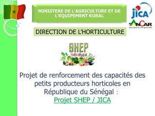 Projet de renforcement des capacités des
petits producteurs horticoles en
République du Sénégal：
Projet SHEP / JICA
MINISTERE DE L’AGRICULTURE ET DE
L’EQUIPEMENT RURAL
DIRECTION DE L’HORTICULTURE
 