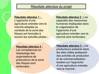 Résultats attendus 4 :
Les compétences en
réseautage des
organisations de
producteurs de la zone
des Niayes sont
renforcées ;
Résultats attendus 1：
L’approche d’une
agriculture orientée vers le
marché adaptée au
contexte de la zone des
Niayes est formulée à
travers les activités pilotes ;
Résultats attendus 2 : Les
capacités des ressources
humaines impliquées dans
la vulgarisation de
l’approche d’une
agriculture orientée vers le
marché sont renforcées ;
Résultats attendus 3 : Les
producteurs présents dans
les sites cibles pratiquent
des activités de production
et de commercialisation
basées sur l’approche
d’une agriculture orientée
vers le marché ;
Résultats attendus du projet
 