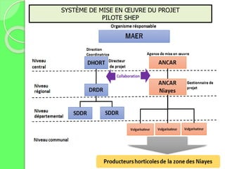 SYSTÈME DE MISE EN ŒUVRE DU PROJET
PILOTE SHEP
 