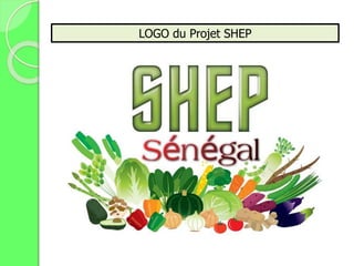 LOGO du Projet SHEP
 