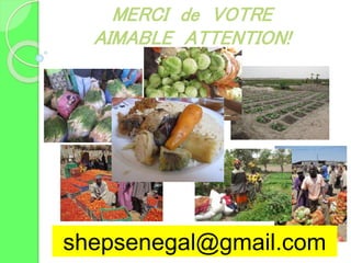 shepsenegal@gmail.com
MERCI de VOTRE
AIMABLE ATTENTION!
 