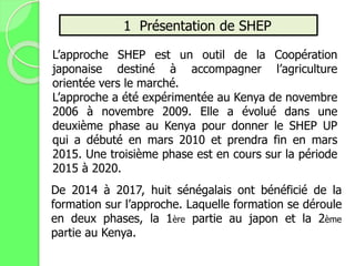 1 Présentation de SHEP
L’approche SHEP est un outil de la Coopération
japonaise destiné à accompagner l’agriculture
orientée vers le marché.
L’approche a été expérimentée au Kenya de novembre
2006 à novembre 2009. Elle a évolué dans une
deuxième phase au Kenya pour donner le SHEP UP
qui a débuté en mars 2010 et prendra fin en mars
2015. Une troisième phase est en cours sur la période
2015 à 2020.
De 2014 à 2017, huit sénégalais ont bénéficié de la
formation sur l’approche. Laquelle formation se déroule
en deux phases, la 1ère partie au japon et la 2ème
partie au Kenya.
 