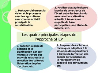 1. Partager clairement la
vision et le processus
avec les agriculteurs
avec comme activité
principale la
sensibilisation
2. Faciliter aux agriculteurs
la prise de conscience de
l’écart entre les besoins du
marché et leur situation
actuelle à travers une
enquête de base
participative, une étude de
marché, etc.
3. Faciliter la prise de
décision et la
planification par eux-
mêmes à travers des
activités relatives à la
sélection des cultures,
élaboration de plan
d’actions, etc.
4. Proposer des solutions
techniques adaptées à la
situation des agriculteurs
à travers la formation des
agents de vulgarisation,
le renforcement de
capacité des agriculteurs,
etc.
Les quatre principales étapes de
l’Approche SHEP
 