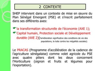 2 CONTEXTE
la transformation structurelle de l’économie (AXE 1);
Capital humain, Protection sociale et Développement
durable (AXE 2)(l’amélioration significative des conditions de vie des
populations, la lutte contre les inégalités sociales).
Le PRACAS (Programme d’accélération de la cadence de
l’agriculture sénégalaise) comme volet agricole du PSE
avec quatre piliers dont les deux concernent
l’Horticulture (oignon et fruits et légumes pour
l’exportation).
SHEP intervient dans un contexte de mise en œuvre du
Plan Sénégal Emergent (PSE) et s’inscrit parfaitement
dans ses différents axes:
 
