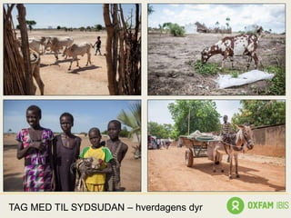 TAG MED TIL SYDSUDAN – hverdagens dyr
 