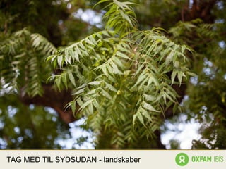 TAG MED TIL SYDSUDAN - landskaber
 