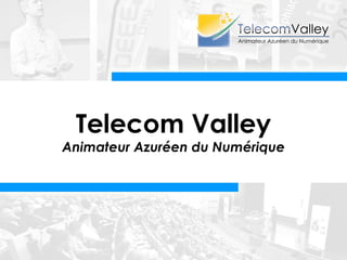 Telecom Valley
Animateur Azuréen du Numérique
 